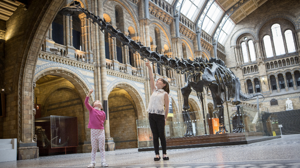 UK Tour of Dippy the Dinosaur